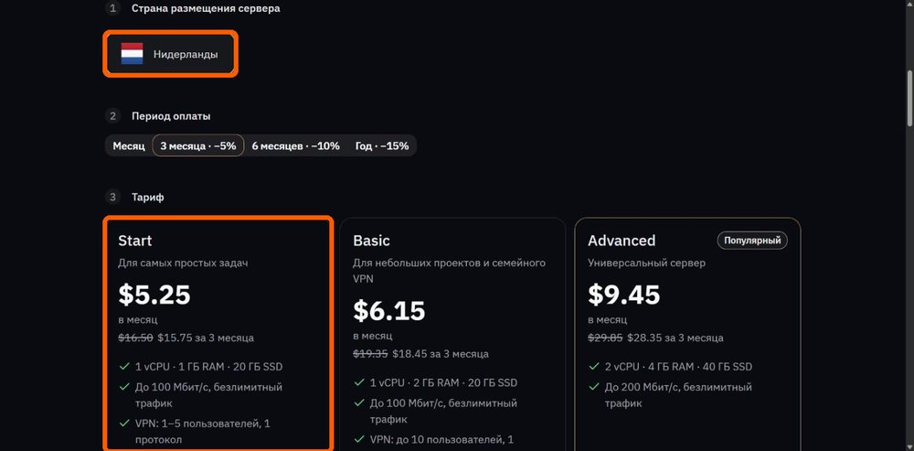 Страница Amnezia Hosting: страна Нидерланды и тариф Start