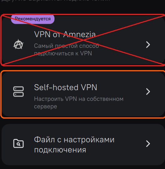 Выбор Self-hosted VPN, VPN от Amnezia перечёркнут